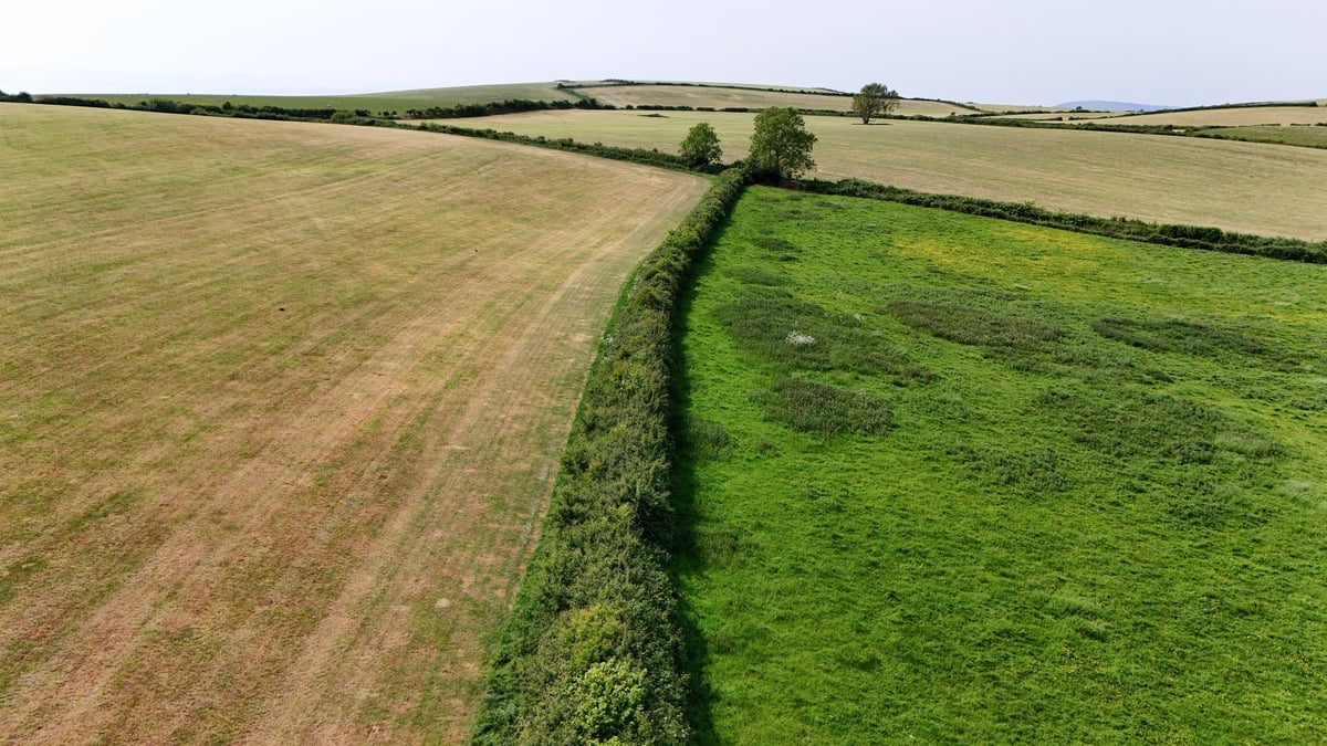 Aerial view of field boundaries and hedgerows