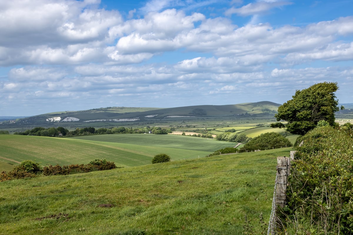 Green countryside landscape